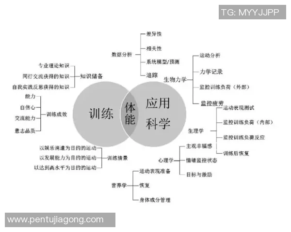 武汉篮球队力量表现的数据分析与战术优化研究 武汉篮球队力量表现的数据分析与战术优化研究