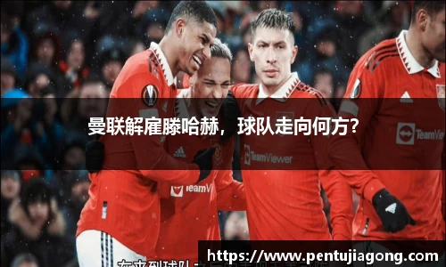 jn江南·体育登录入口