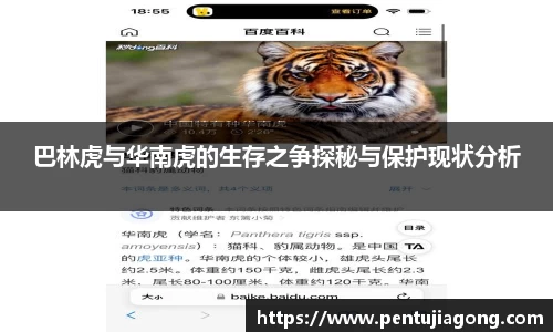 江南体育官方网站
