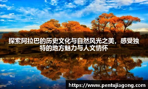 jn江南·体育登录入口