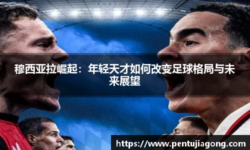 jn江南·体育登录入口