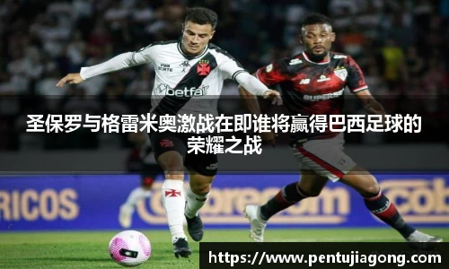 jn江南·体育登录入口