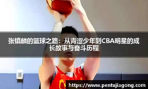 JN体育