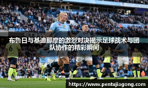 jn江南·体育登录入口